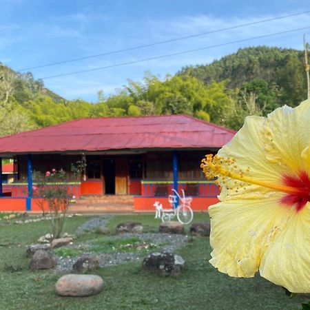 Brisas Del Rio Salento Guest House Exterior photo